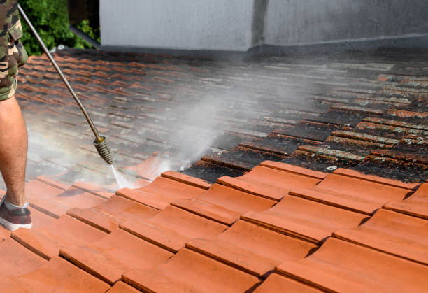 Why Choose Our Certified Pressure Washing Experts for Your Project Needs in Linganore, MD?